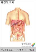 대장의 위치 및 구조