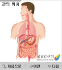 간의 위치 및 구조