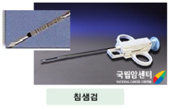 침생검