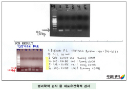 병리학적 검사 중 세포유전학적 검사