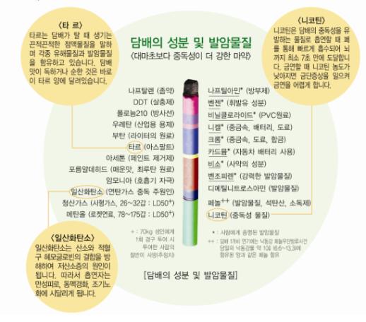 담배의 성분 및 발암물질 타르 니코틴 일산화탄소