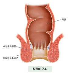직장의 구조