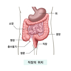 직장의 위치