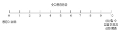 통증강도 평가방법