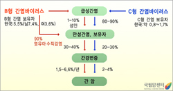 바이러스성 간염에서 간암으로의 진행