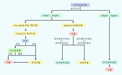위 림프종에서 악성림프종에 대한 치료방침