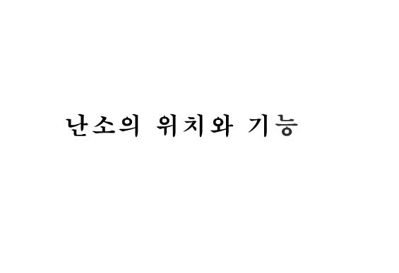 난소의 위치와 기능