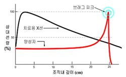 양성자의 특징_브래드 피크