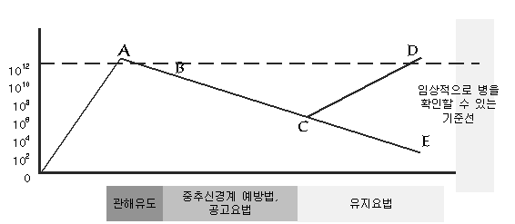 급성 림프구성 백혈병의 치료과정