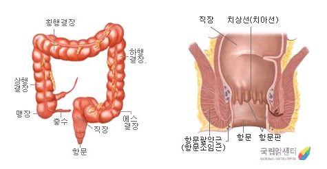 직장의 위치 및 구조