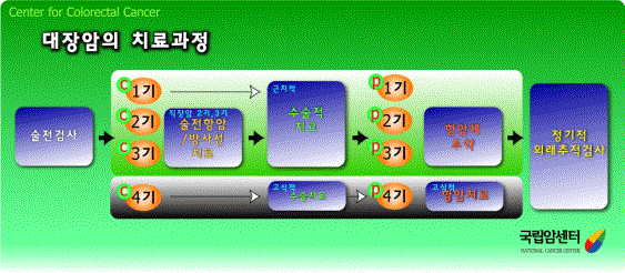 대장암(직장암포함)의 치료 과정