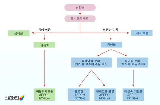 악성 난소 배세포 종양의 분류와 그 종양표지 물질