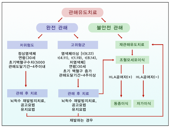 새롭게 진단된 급성림프구성백혈병