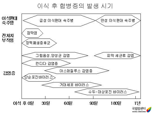 이식 후 합병증의 발생 시기