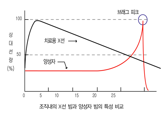 조직내의 X선 빔과 양성자 빔의 특성 비교
