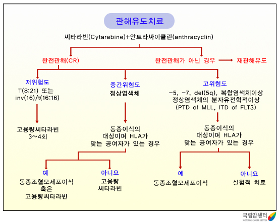 새로 진단된 급성골수성백혈병의 치료 지침