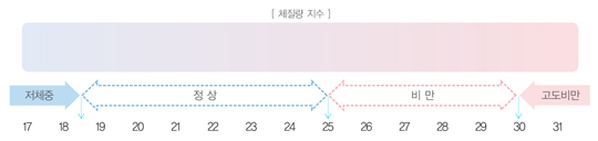 체질량 지수