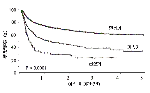 만성골수성백혈병의 만성기 때의 HLA가 일치하는 형제간 골수이식 성적