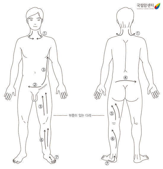 다리 도수 림프 배출법