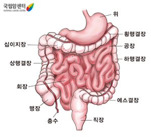 소장의 위치와 구조