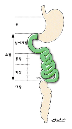 소장의 위치 및 구분