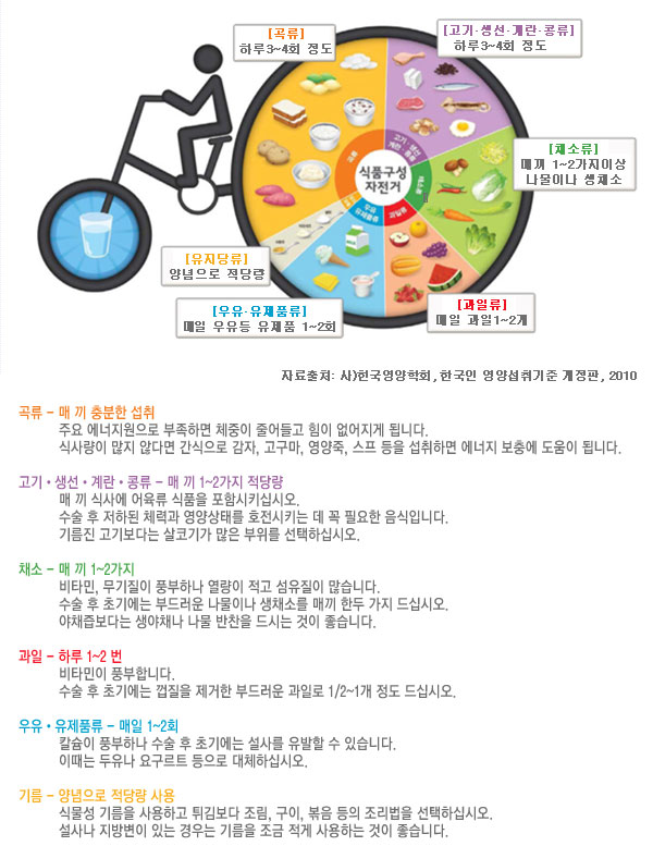 식품구성 자전거