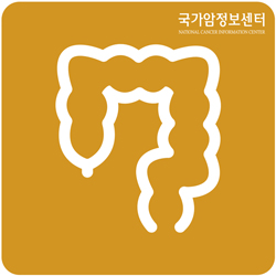 암종별 심볼-대장