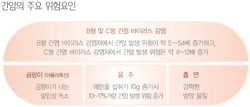국민 암예방 수칙 실천 지침-간암의 주요 위험요인