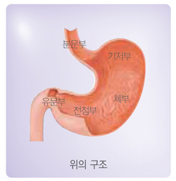 국민 암예방 수칙 실천 지침 -위의 구조
