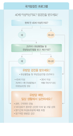 국민 암예방 수칙 실천 지침 - 유방암 국가암검진 프로그램