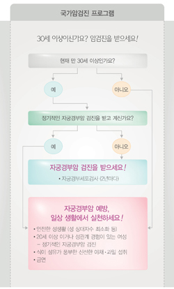 국민 암예방 수칙 실천 지침 - 국가암검진 프로그램