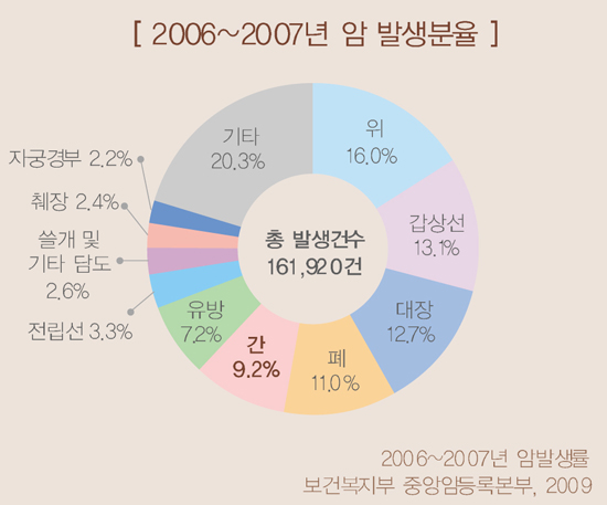 예방과검진미리미리-간암 2006 2007년 암 발생분율