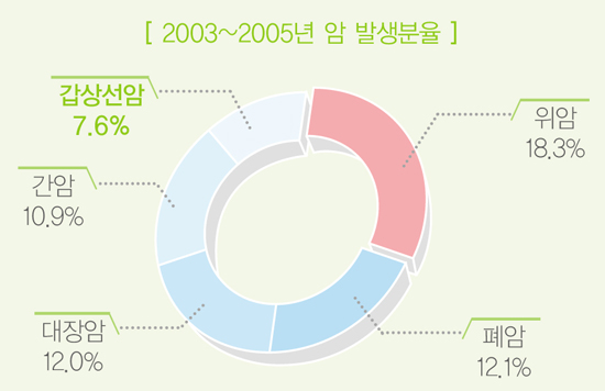 예방과검진미리미리-갑상선 2003 2005년 암 발생분율