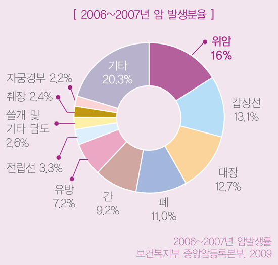 예방과검진미리미리-위암 2006 2007 암 발생분율