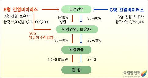 바이러스성 간염에서 간암으로의 진행