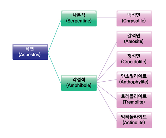 석면의 종류