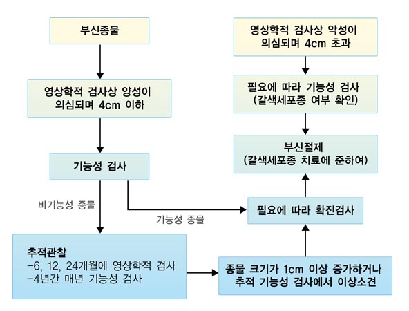부신 종물의 감별 및 치료에 대한 모식도