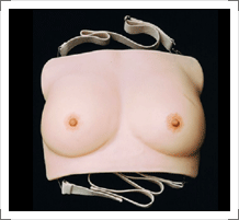 교육자료 - 유방 자가 검진 모형