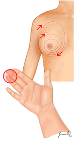 유방자가검진 방법 - 셋째, 넷째 손가락 끝으로 유방주위를 시계 방향으로 검진