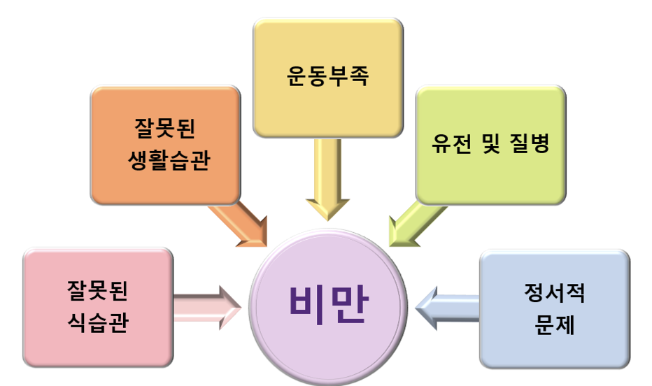 잘못된 식습관, 잘못된 생활습관, 운동부족, 유전 및 질병, 정서적 문제 = 비만