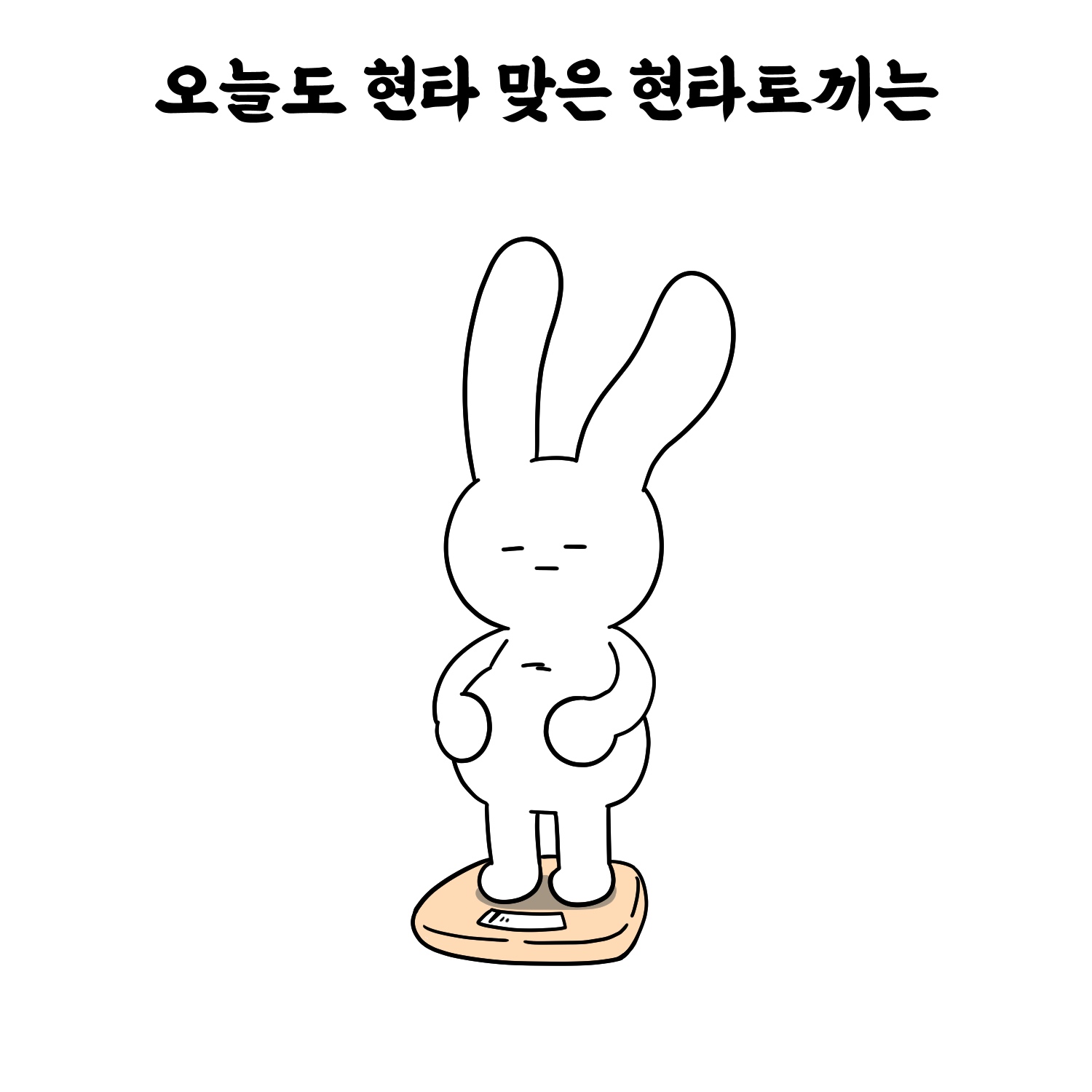 오늘도 현타 맞음 현타토끼는