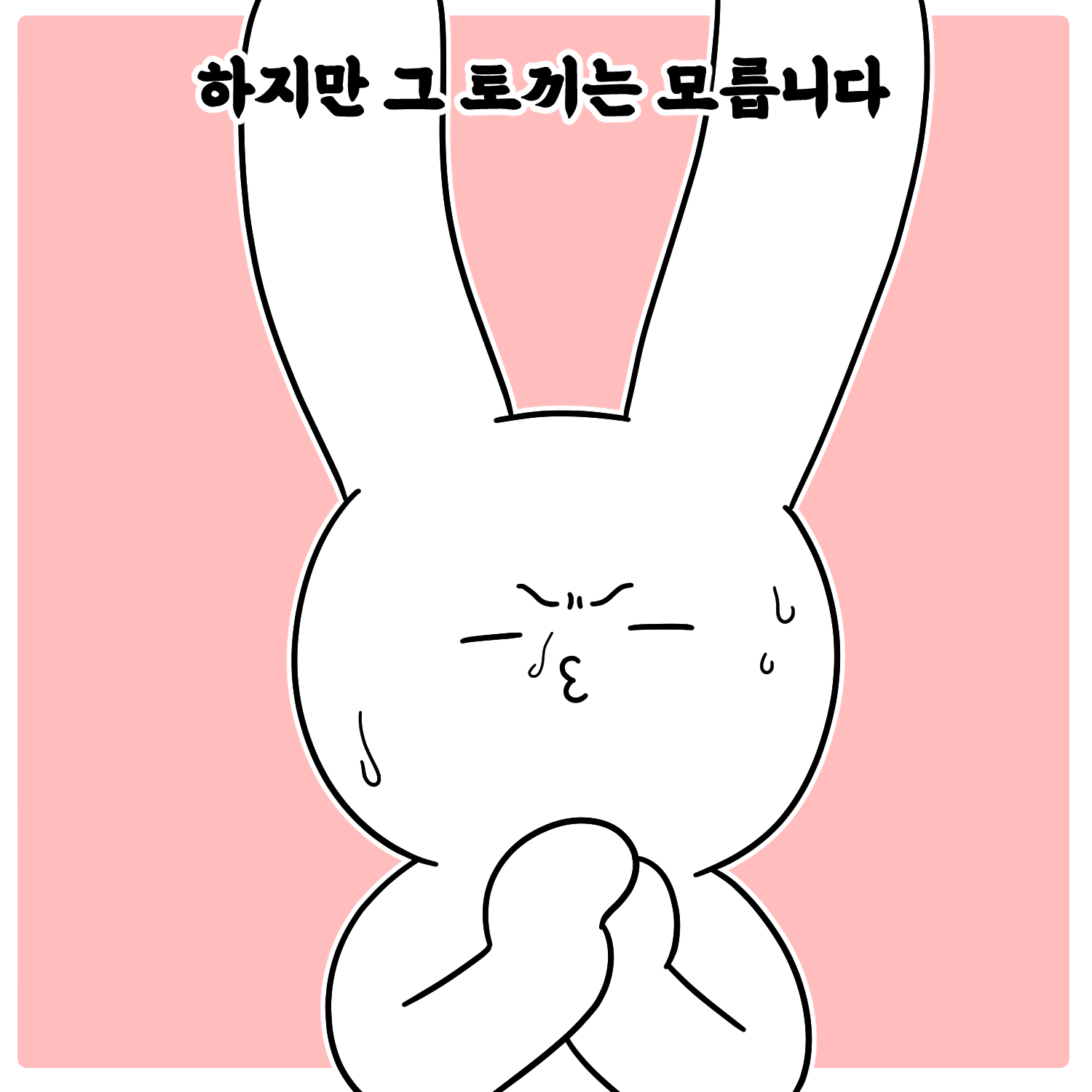 하지만 그 토끼는 모릅니다