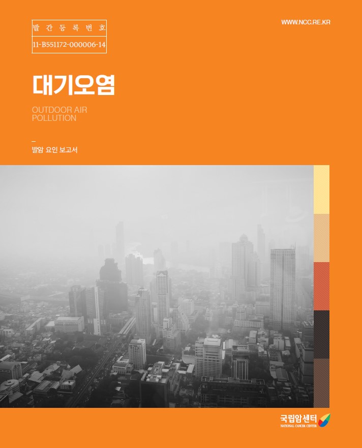 발간등록번호 11-B551172-000006-14 대기오염 OUTDOOR AIR POLLUTION 발암 요인 보고서 이미지 