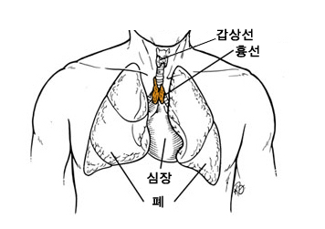 external_image
