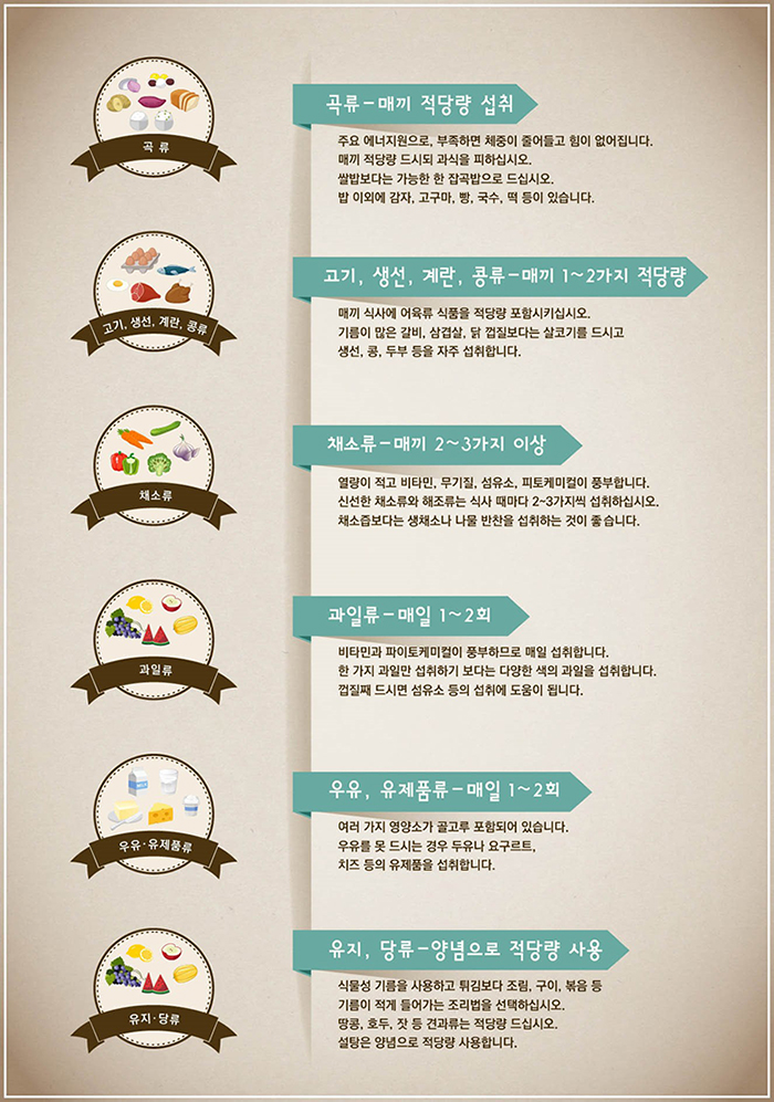 곡류 - 매끼 적당량 섭취 : 주요 에너지원으로, 부족하면 체중이 줄어들고 힘이 없어집니다. 매끼 적당량 드시되 과식을 피하십시오. 쌀밥보다는 가능한 한 작곡밥으로 드십시오. 밥 이외에 감자, 고구마, 빵, 국수, 떡 등이 있습니다. / 
고기, 생선, 계란, 콩류-매끼 1~2가지 적당량 : 매끼 식사에 어육류 심품을 적당량 포함시키십시오. 기름이 많은 갈비, 삼겹살, 닭 껍질보다는 살코기를 드시고 생선, 콩, 두부 등을 자주 섭취합니다. / 
채소류-매끼 2~3가지 이상 : 열량이 적고 비타민, 무기질, 섬유소, 피토케미컬이 풍부합니다, 신선한 채소류와 해조류는 식사 때마다 2~3가지씩 섭취하십시오. 채소즙보다는 생채소나 나물 반찬을 섭취하는 것이 좋습니다. / 
과일류-매일 1~2회 : 비타민과 파이토케미컬이 풍부하므로 매일 섭취합니다. 한가지 과일만 섭취하기 보다는 다양한 색의 과일을 섭취합니다. 껍찔째 드시면 섬유소 등의 섭취에 도움이 됩니다. / 
우유, 유제품류 - 매일 1~2회 : 여러 가지 영양소가 골고루 포함되어 있습니다. 우유를 못 드시는 경우 두유나 요구르트, 치즈 등의 유제품을 섭취합니다. / 
유지, 당류 - 양념으로 적당량 사용 : 식물성 기름을 사용하고 튀김보다 조림, 구이, 볶음 등 기름이 적게 들어가는 조리법을 선택하십시오. 땅콩, 호두, 잣 등 견과류는 적당량 드십시오. 설탕은 양념으로 적당량 사용합니다.
