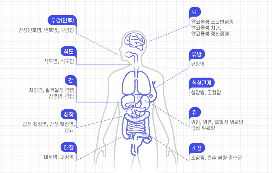 알코올이 신체에 미치는 영향으로는 뇌에서는 알코올성 소뇌변성증, 알코올성 치매, 알코올성 정신장애를 일으킬 수 있고 식도에서는 식도염, 식도암과 구강(인후)에서는 만성인후염, 인후암, 구강암을 유발할 수 있습니다. 유방에서는 유방암을 유발할 수 있습니다. 심혈관계에 미치는 영향으로는 심장병, 고혈압이 있고 간에서는 지방이 많이 축적된 상태인 지방간과 알코올성 간염, 간경화, 간암을 일으킬 수 있고 위에서는 위염, 출혈성 위궤양, 급성 위궤양, 위암과 췌장에서는 급성 췌장염, 만성 췌장염, 당뇨병 그리고 소장에서는 소장염, 흡수 불량 증후군을 마지막으로, 대장에서는 대장염, 대장암등의 질환을 유발할 수 있습니다.